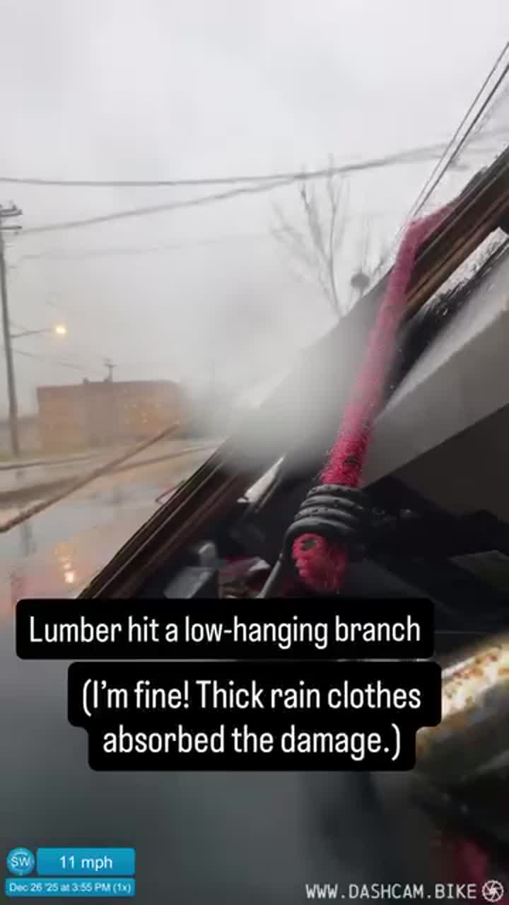 Lumber hit a low-hanging branch (I’m fine! Thick rain clothes absorbed the damage.)