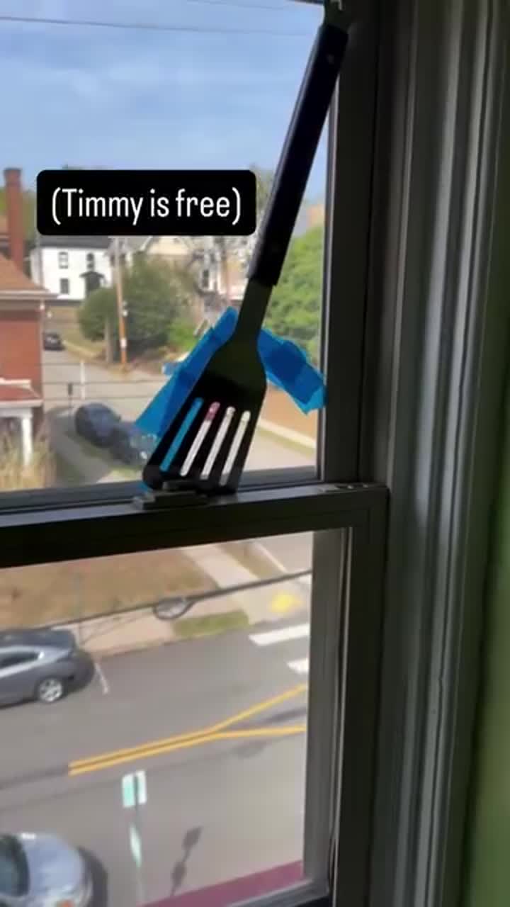 (Timmy is free)