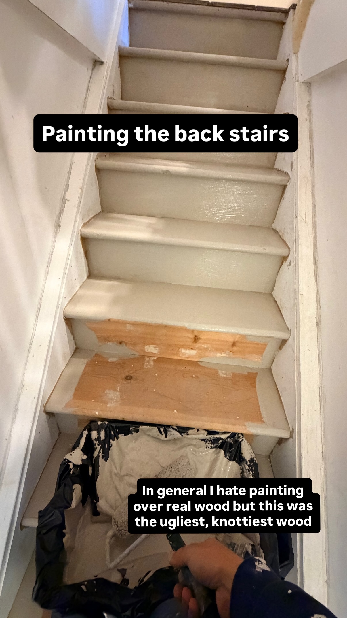 Painting the back stairs In general I hate painting over real wood but this was the ugliest, knottiest wood