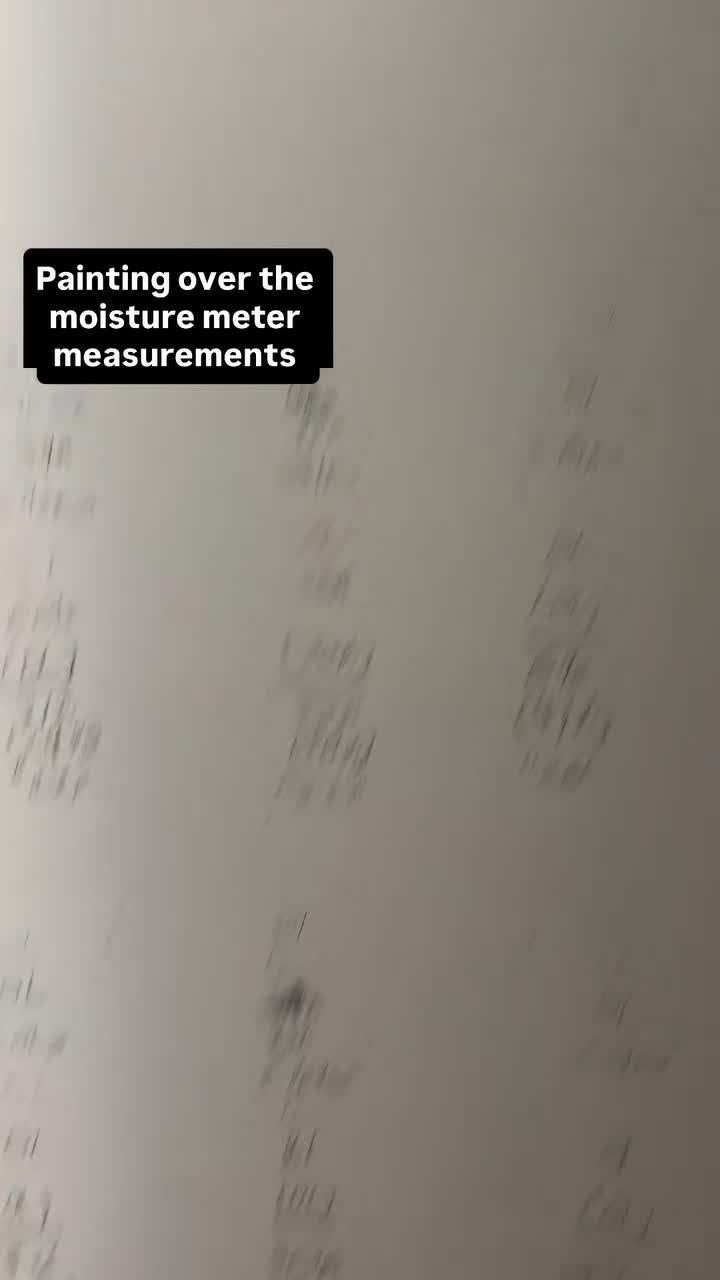 Painting over the moisture meter measurements