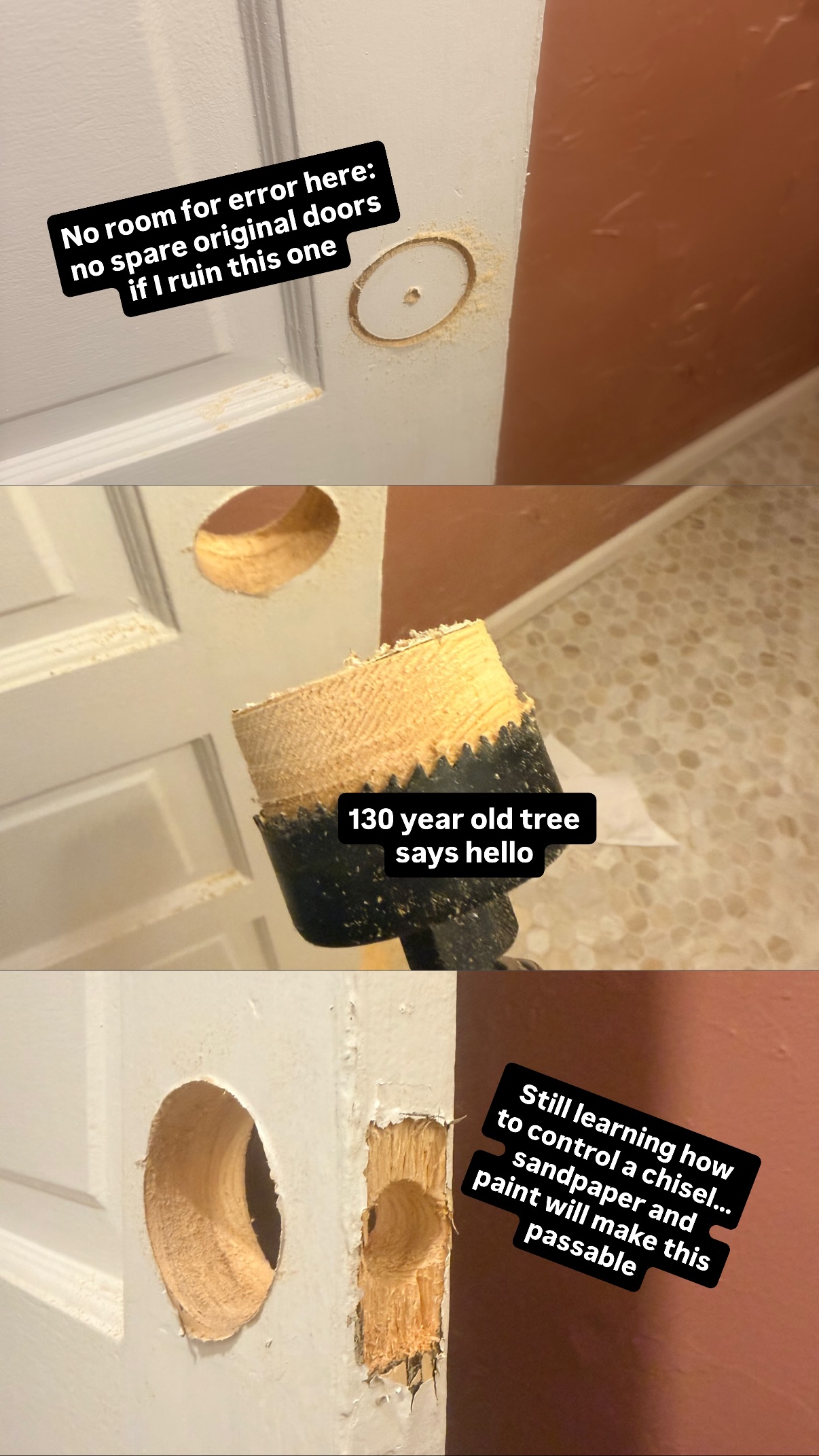 No room for error here: no spare original doors if I ruin this one Still learning how to control a chisel…sandpaper and paint will make this passable 130 year old tree says hello